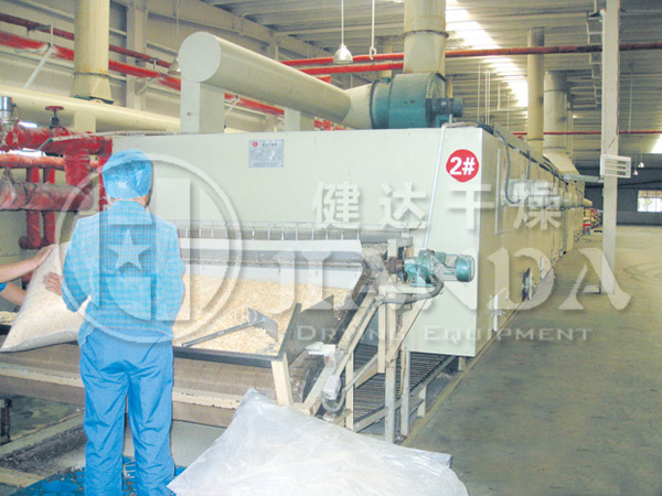 DW-series-general-mesh-belt-drier